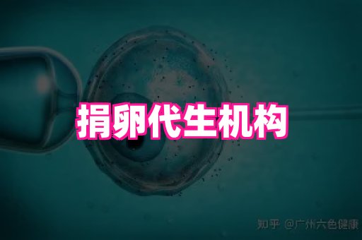 nub孕网 2